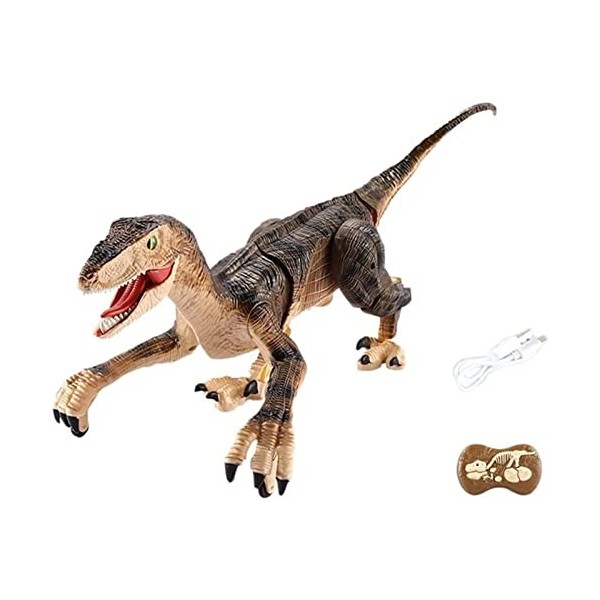 SXZHSM Jouets de Dinosaures de Simulation Télécommandés pour Garçons de 5 6 7 8 Ans, Jouet Robot 2.4Ghz RC avec Lumière LED M