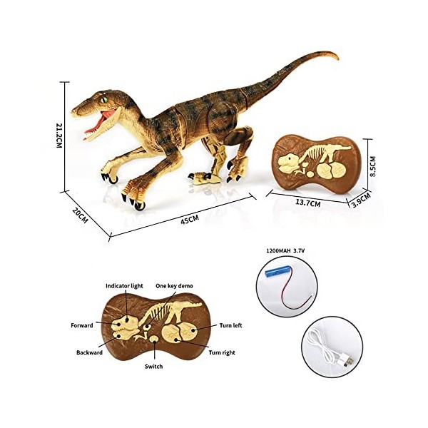 SXZHSM Jouets de Dinosaures de Simulation Télécommandés pour Garçons de 5 6 7 8 Ans, Jouet Robot 2.4Ghz RC avec Lumière LED M