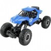 Kikioo Voiture RC Grande Taille 1/12 4WD Rock Crawlers Chariot Tout Terrain Camion 4x4 Conduite À Double Moteurs À Pied Téléc