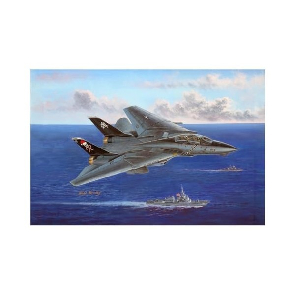 Hobbyboss échelle 1 : 48 "F-14B Tomcat modèle Kit Gris 