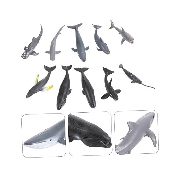 Toyvian 24 Pièces Modèle Animal Mini Animaux Décorations Océan Jouets Puzzle Modèle Animal De Mer Jouet dapprentissage Préco