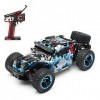 Goolsky WLtoys 284161 Voiture Télécommandée 1/28 2.4GHz 30km/h Haute Vitesse Tout-Terrain 4WD RC Camion sur Chenilles Escalad