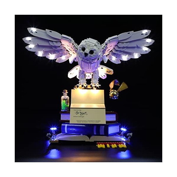 LIGHTAILING Jeu De Lumières Compatible avec Lego 76391 Harry Potter Icônes de Poudlard Édition Collector Modèle en Blocs De C