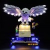 LIGHTAILING Jeu De Lumières Compatible avec Lego 76391 Harry Potter Icônes de Poudlard Édition Collector Modèle en Blocs De C