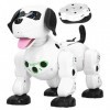 YOUTHINK 2.4G Montre sans Fil télécommande pulvérisation Robot Chien Jouet électronique Animal de Compagnie Enfant Cadeau Jou