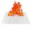 Bexdug Feu Papier - Papier Magique à Combustion Rapi| Magie du feu, Accessoires daccessoires Magie, sans Cendres et sans pou