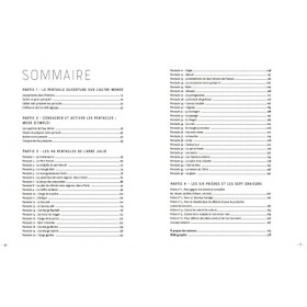 Abbé Julio : Le guide complet des pentacles & prières: Fabriquer soi-même les 46 pentacles de l Abbé Julio et activer leur ma