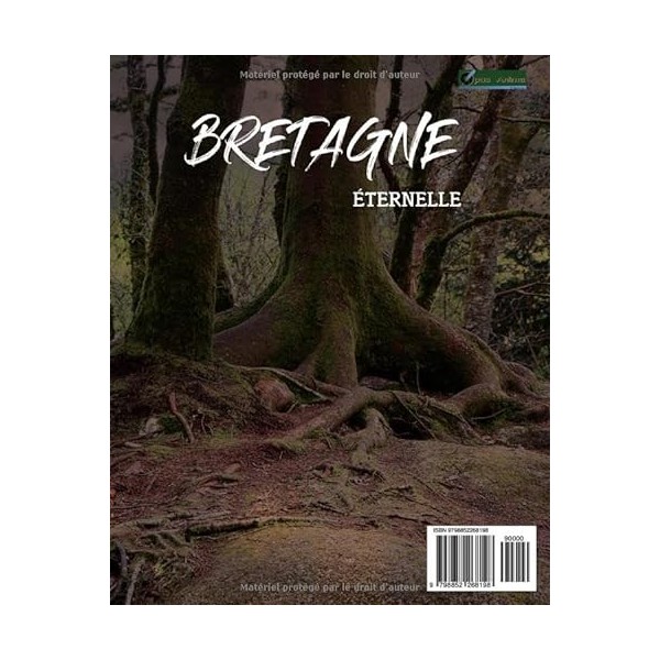 BRETAGNE ETERNELLE LE MAG N°2: Magie et légendes de la forêt de Huelgoat