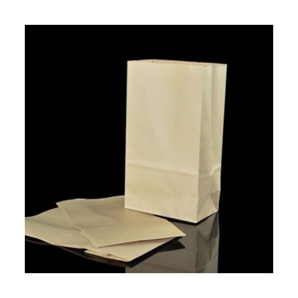 Rebetomo Lot de 5 sacs en papier kraft - Accessoires de magie pour jeu dongles ou bouteille de disparition - Accessoire pour