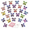 TSHAOUN 25 Pièces Papillon Volant Magique,Papillon Surprise pour Cadeaux, Papillon Magique Jouets élastique Papillon, Flying 