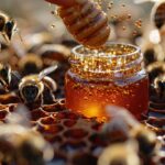 Les incroyables vertus de la propolis : ce trésor des abeilles