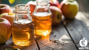 Le Vinaigre de cidre régule de l'appétit et la glycémie.